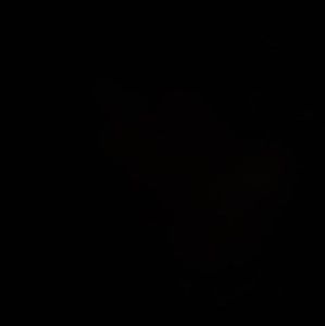 Meet your Posher, Isis-chyanne